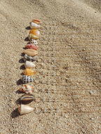 Cone Shell Necklace