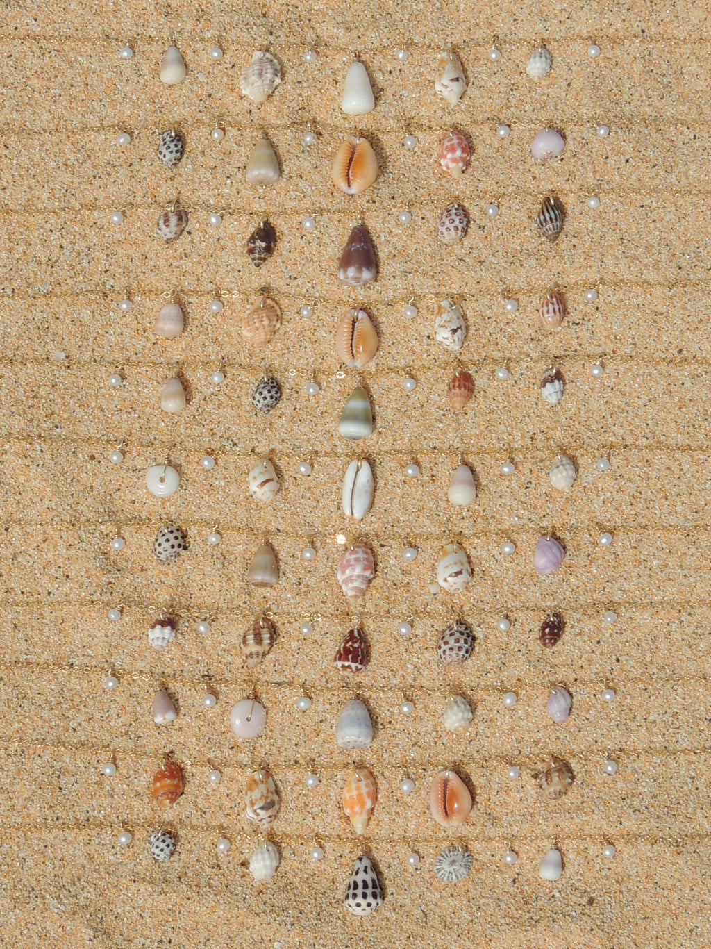 Shell Charm Necklace