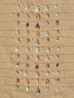 Shell Charm Necklace
