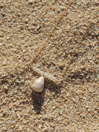 Cone Shell Bar Necklace