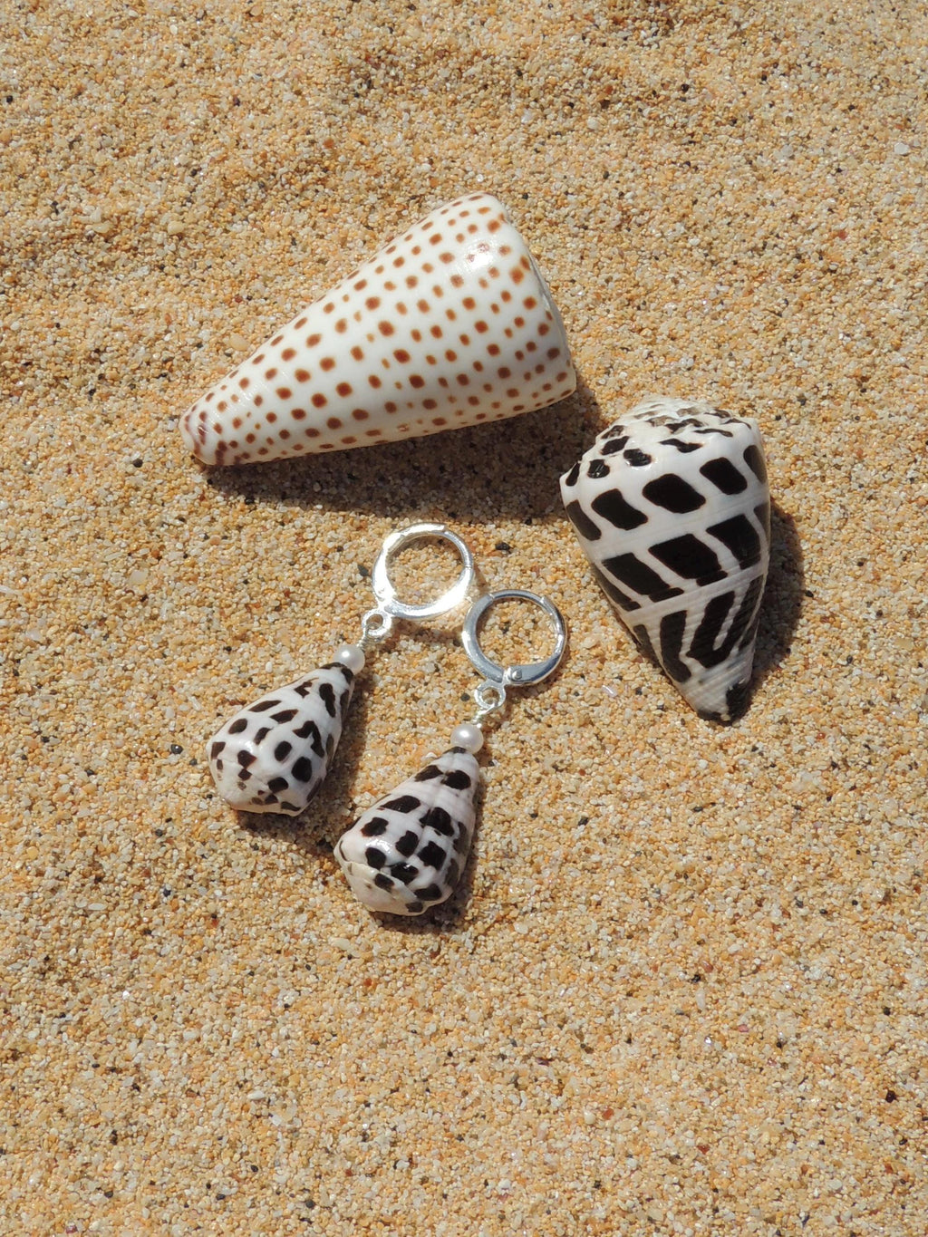 Hebrew Cone Shell Huggies