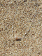 Cone Shell Choker Necklace
