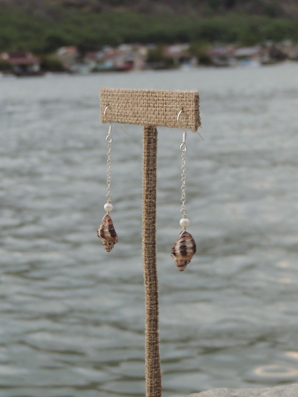 Triton Shell Chain Earrings