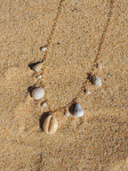 Shell Charm Necklace