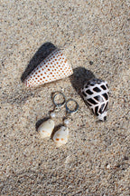 Stromb Shell Huggies