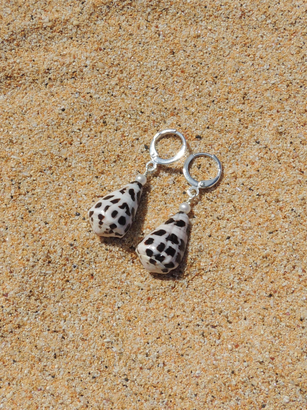 Hebrew Cone Shell Huggies