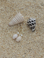 Shell Huggies