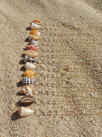 Cone Shell Necklace