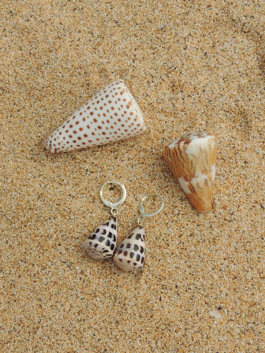 Hebrew Cone Shell Huggies