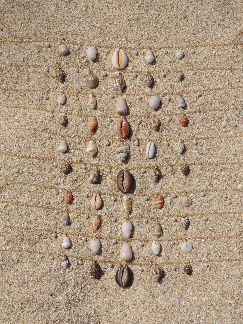 Shell Charm Necklace