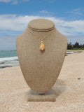 Stromb Shell Necklace