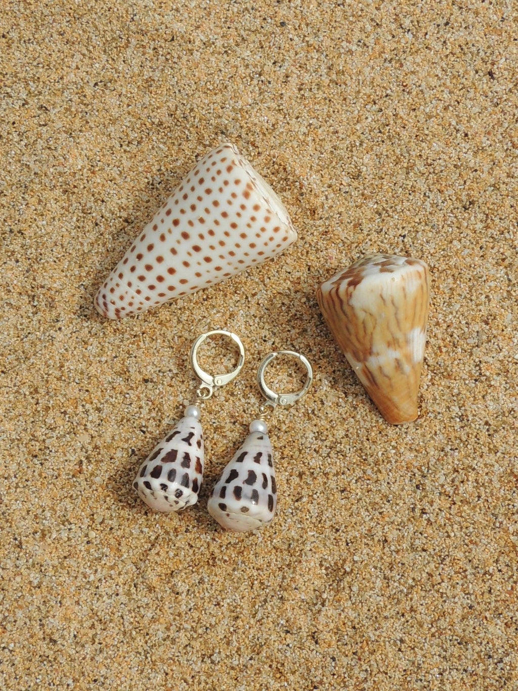 Hebrew Cone Shell Huggies