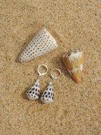 Hebrew Cone Shell Huggies