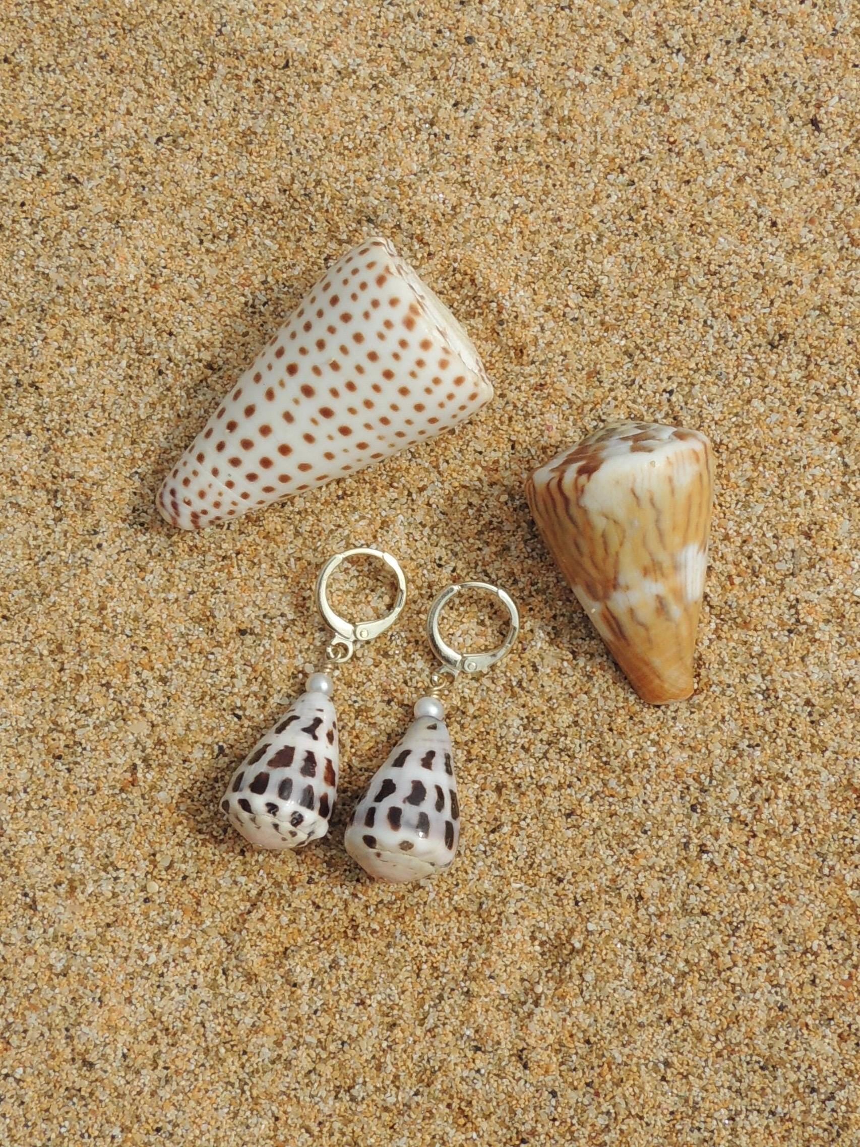 Hebrew Cone Shell Huggies