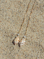 Stromb Shell Threaders