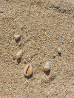 Shell Charm Necklace