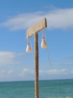 Cone Shell Threaders