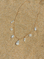 Shell Choker Necklace