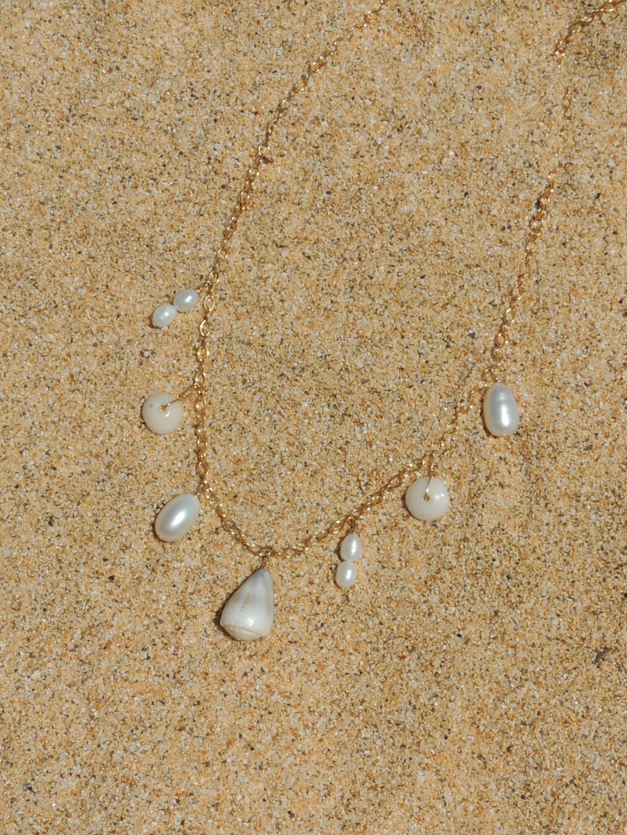 Shell Choker Necklace