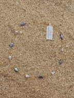 Cone Shell Choker Necklace