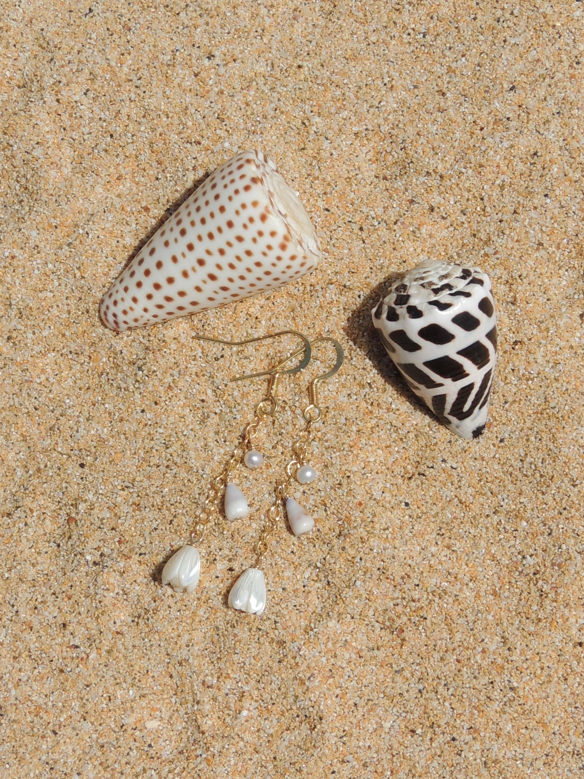 Cone Shell Chain Earrings