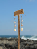Cone Shell Chain Earrings
