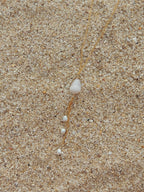 Cone Shell Necklace