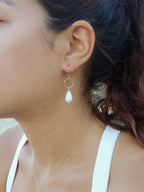 Cone Shell Earrings