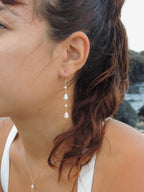Cone Shell Earrings