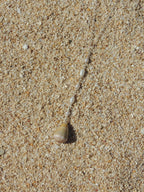 Cone Shell Lariat Necklace