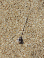 Hebrew Cone Shell Lariat Necklace