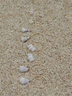 Cone Shell Hoops