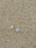Cone Shell Hoops