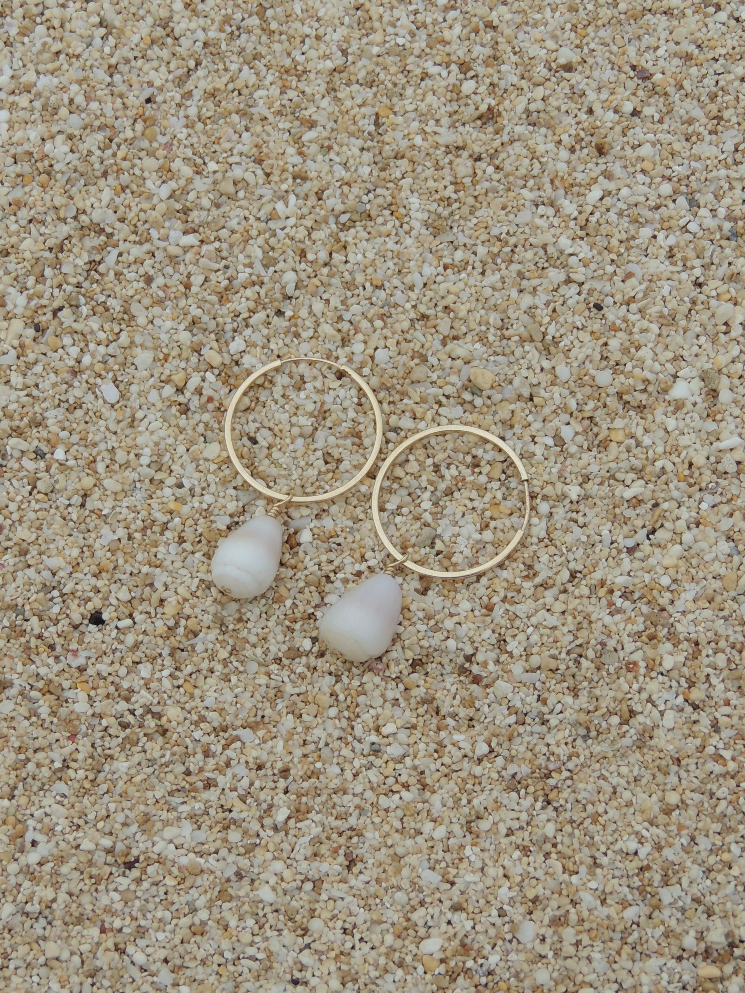 Cone Shell Hoops