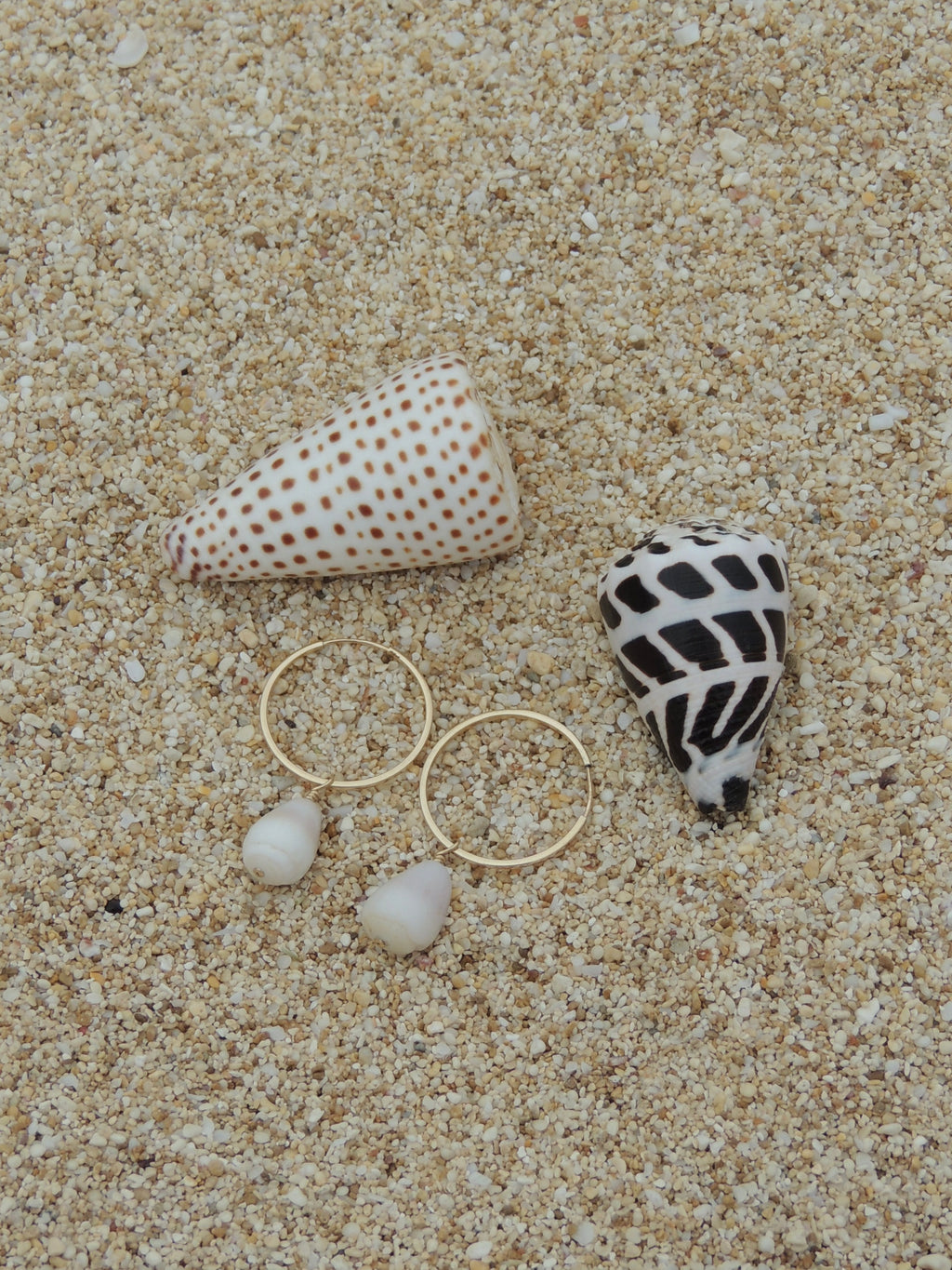 Cone Shell Hoops