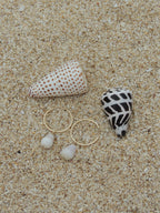 Cone Shell Hoops