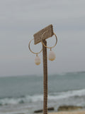 Cone Shell Hoops