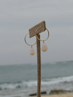 Cone Shell Hoops
