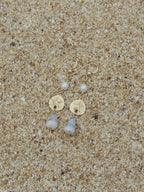 Sand Dollar Charm Earrings