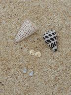 Sand Dollar Charm Earrings