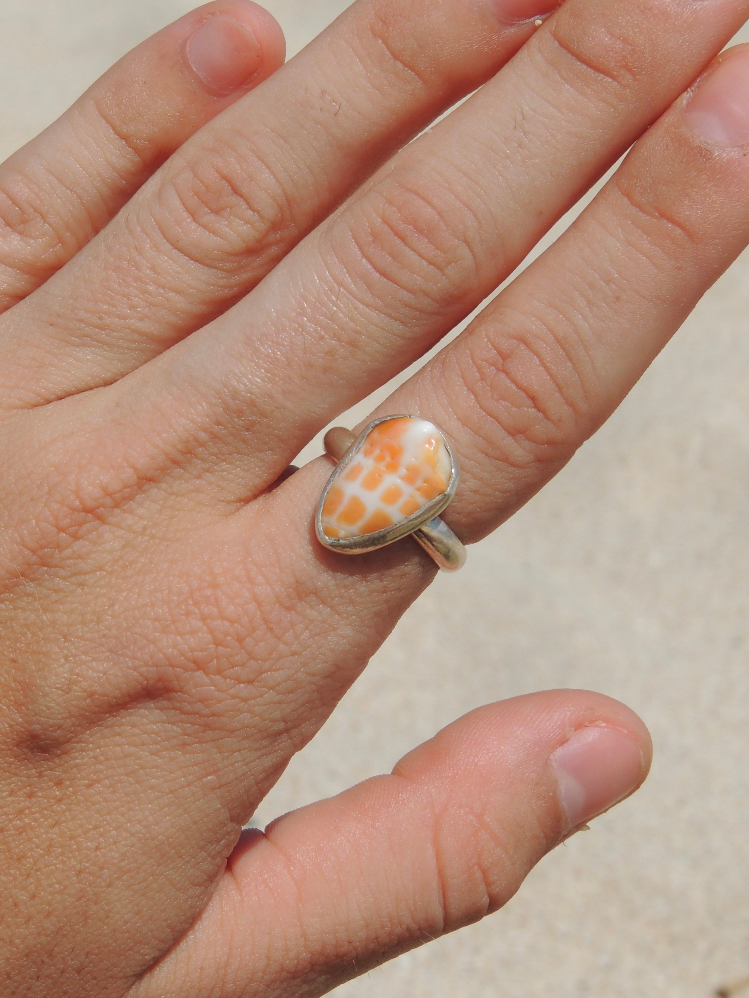 Miter Shell Ring (5)