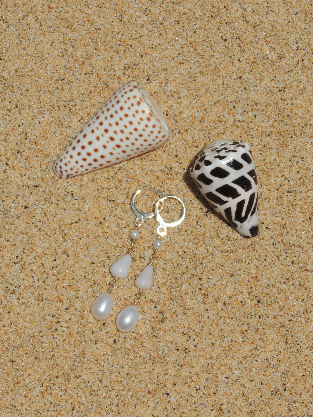 Cone Shell Huggies