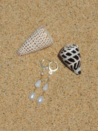 Cone Shell Huggies