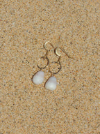 Cone Shell Earrings