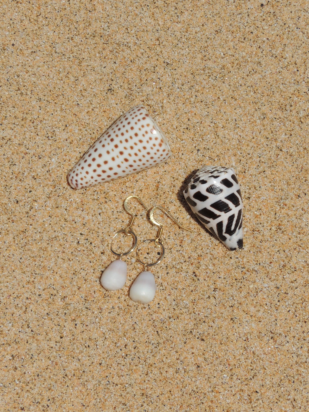 Cone Shell Earrings