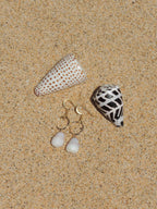 Cone Shell Earrings