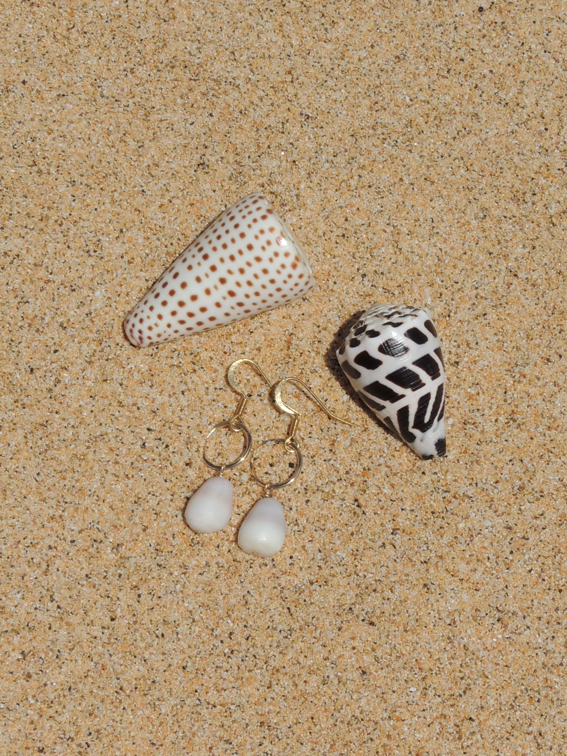 Cone Shell Earrings