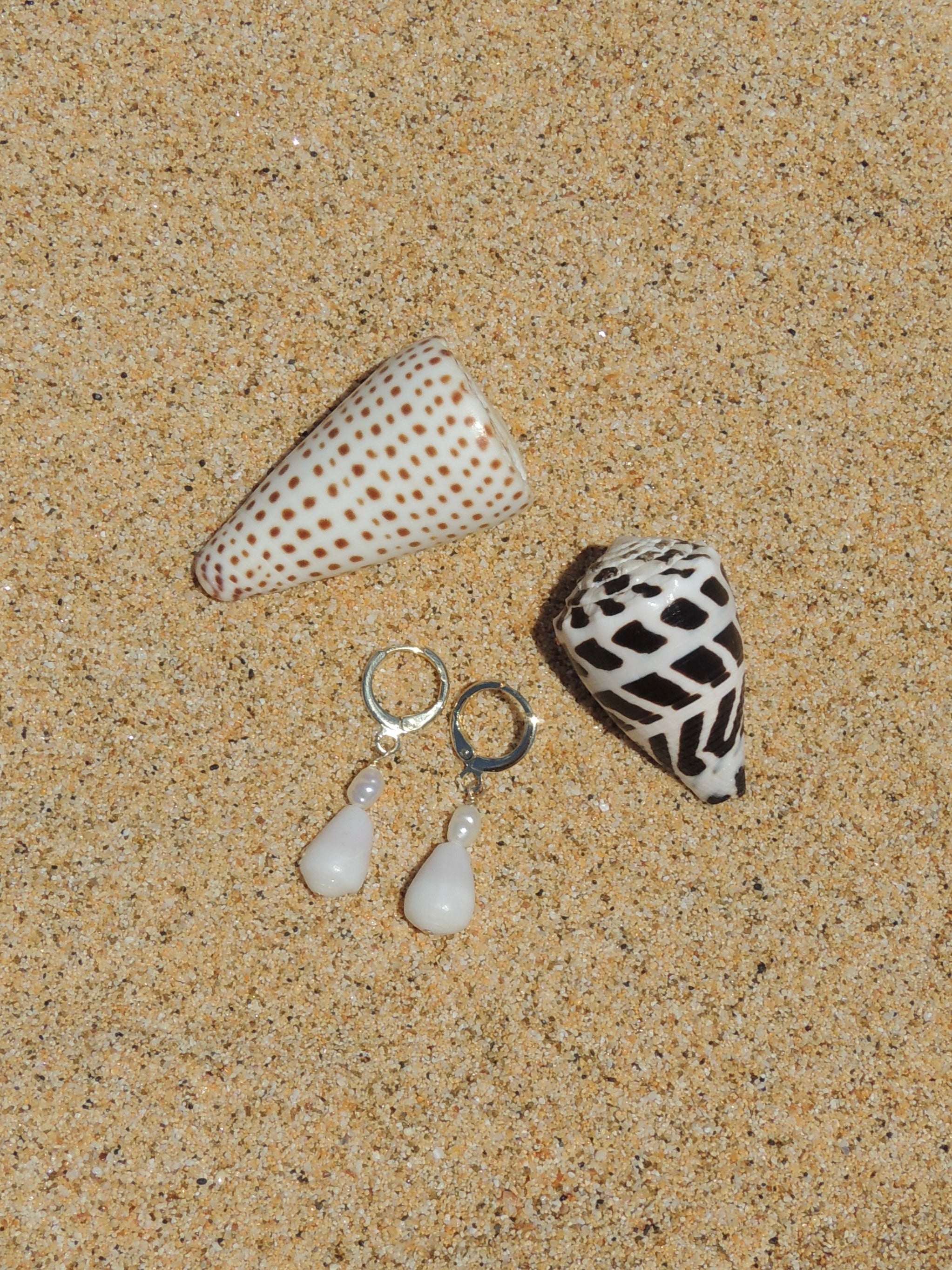 Cone Shell Huggies