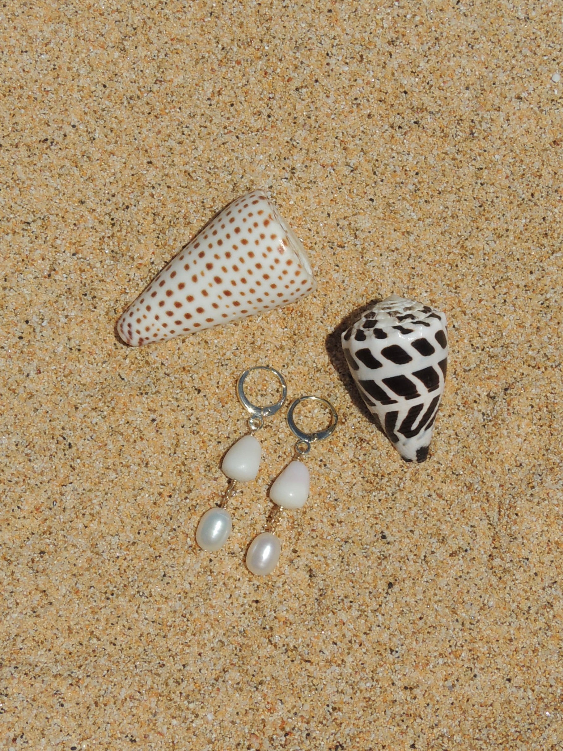 Cone Shell Huggies