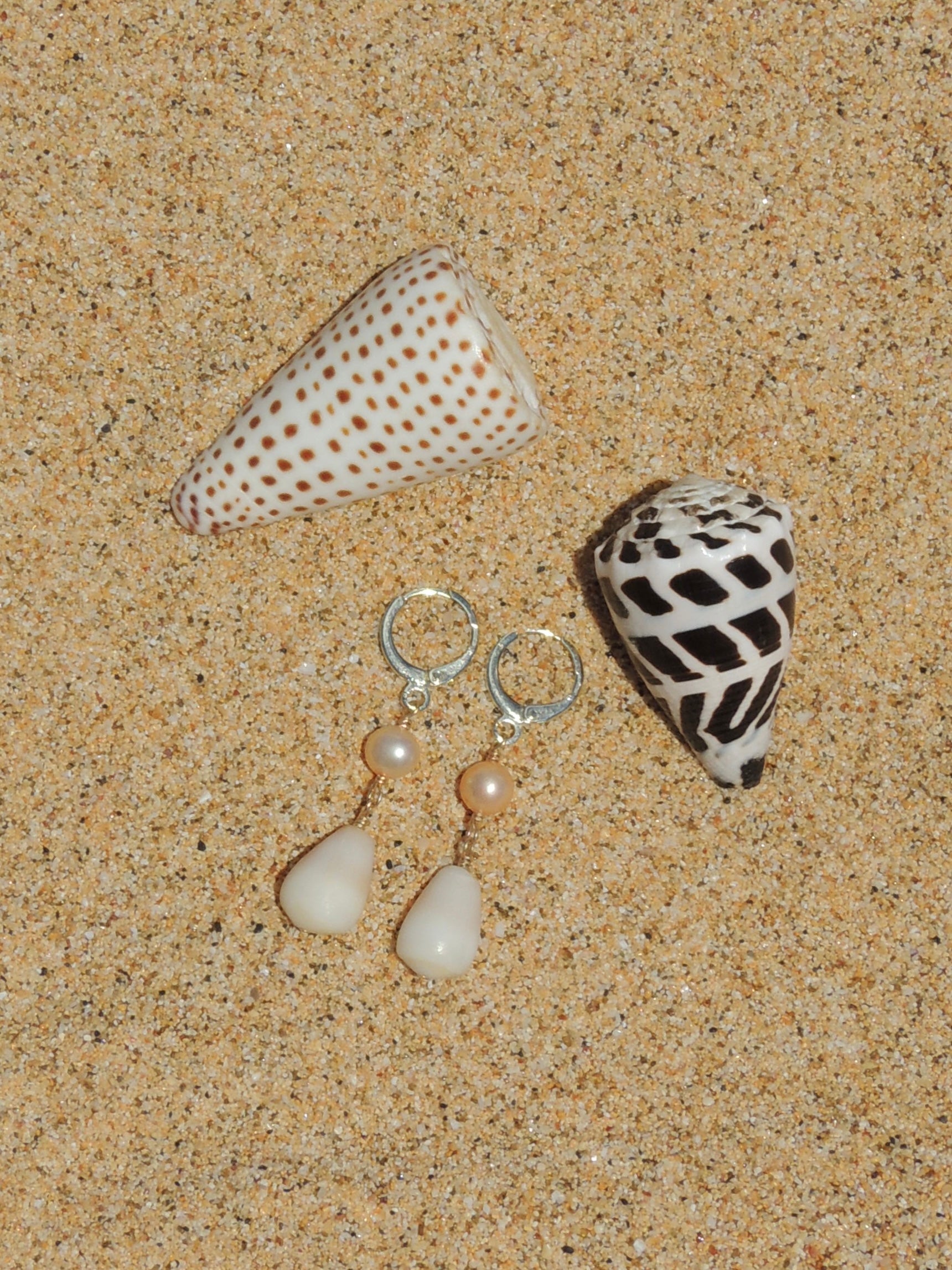 Cone Shell Huggies
